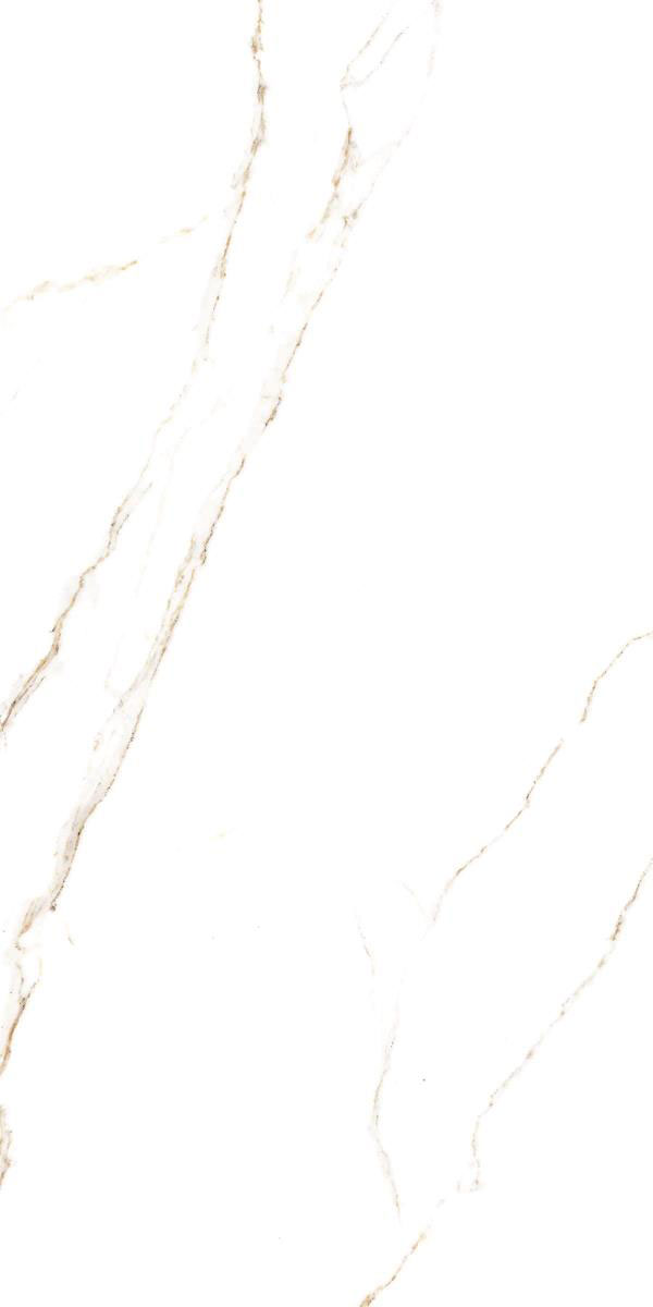 STATURIO LUX F2